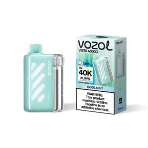 Vozol Vista 40000 Koel Mint