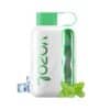 Vozol Star 40000 Cool Mint