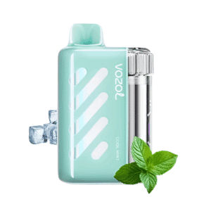 Vozol Vista 40000 Koel Mint