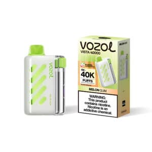 Vozol Vista 40000 Melon Gum